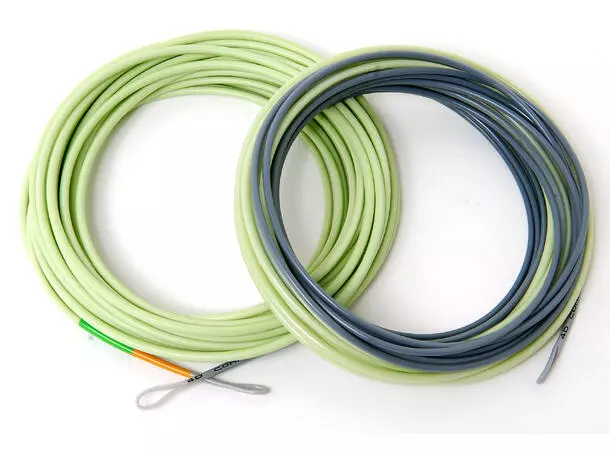 4D Compact Body 5 4D Compact Body - Image 3