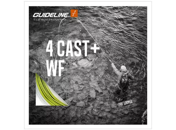 4 Cast+ WFFloat 3 4 Cast+ WFFloat