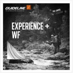 Experience+ WFFloat