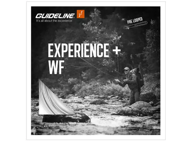 Experience+ WFFloat 3 Experience+ WFFloat