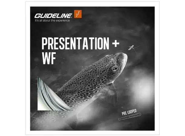 Presentation+ WFFloat 3 Presentation+ WFFloat