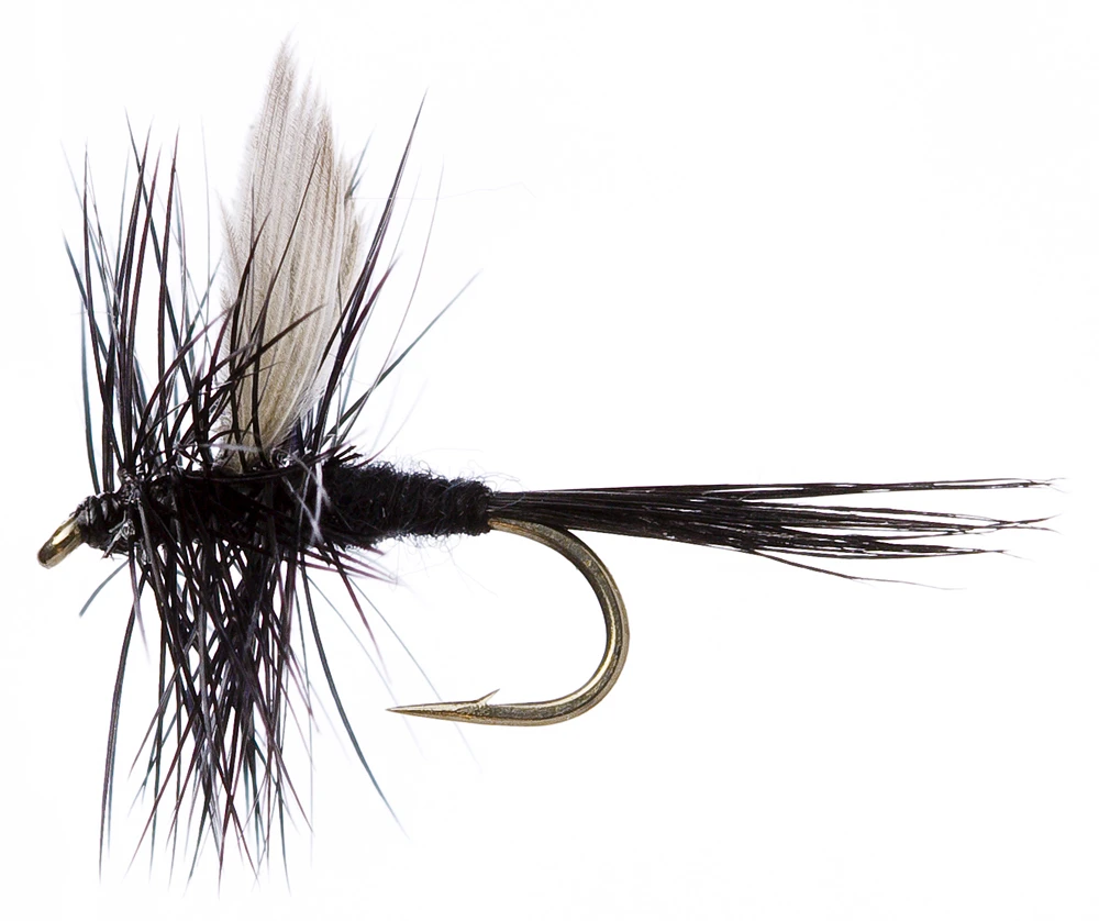 Fulling Mill Black Gnat 3 Fulling Mill Black Gnat