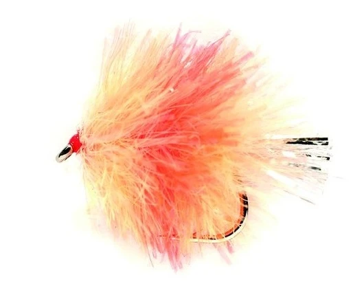 Fulling Mill Blob Coral Spot 3 Fulling Mill Blob Coral Spot