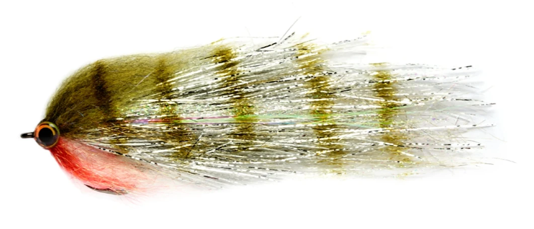 Fulling Mill Clydesdale Baby Zander 3 Fulling Mill Clydesdale Baby Zander