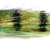 Fulling Mill Clydesdale Green Perch 1 Fulling Mill Clydesdale Green Perch -Flies Sales Store clydesdale green perch