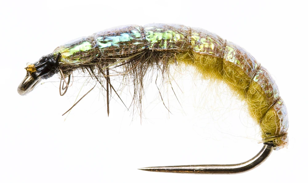 Czech Nymph Slim Pearl Flashback Olive 3 Czech Nymph Slim Pearl Flashback Olive