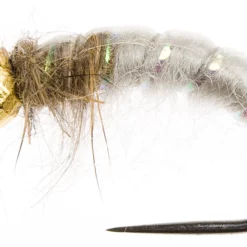 Disco Czech Nymph Ligh Grey