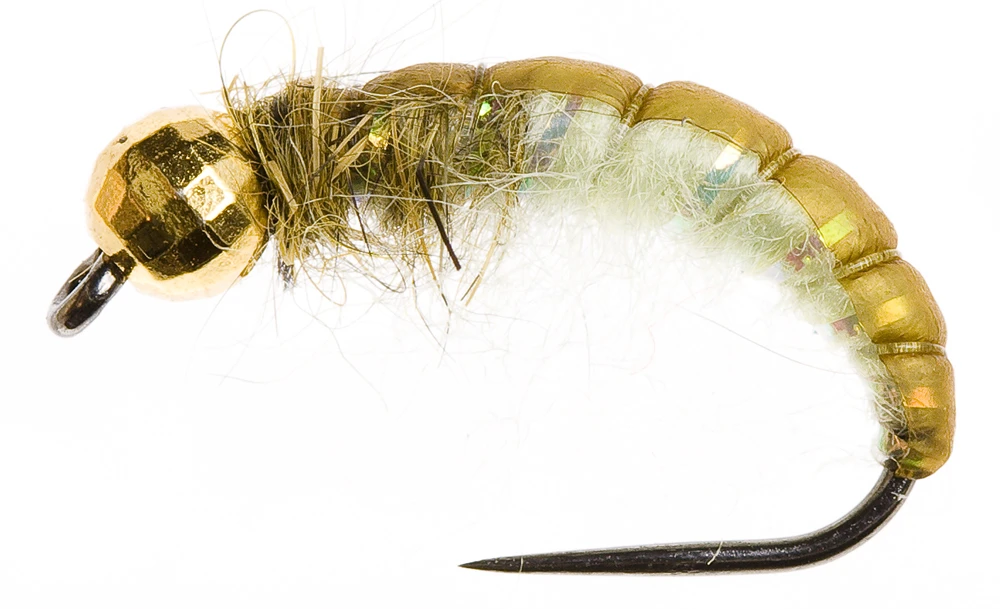 Disco Czech Nymph Ryacophila 3 Disco Czech Nymph Ryacophila