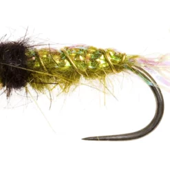 Czech Nymph Flashback Tungsten Jig Olive