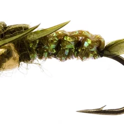 Fulling Mill Golden Nugget Creeper Olive