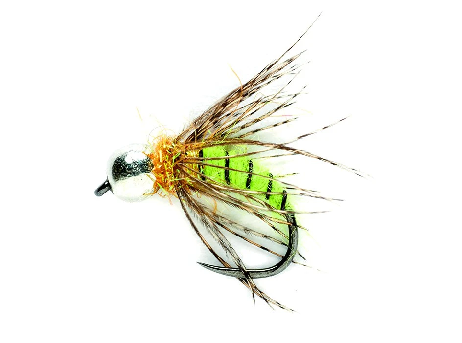 Fulling Mill Grannom Pupa 3 Fulling Mill Grannom Pupa