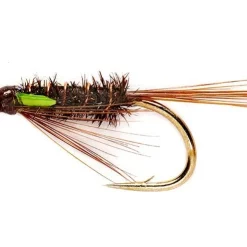 Fulling Mill Green Cheeked Diawl Bach