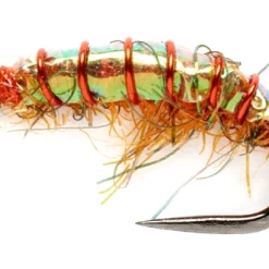 Fulling Mill Jardine Orange Shrimp B/L