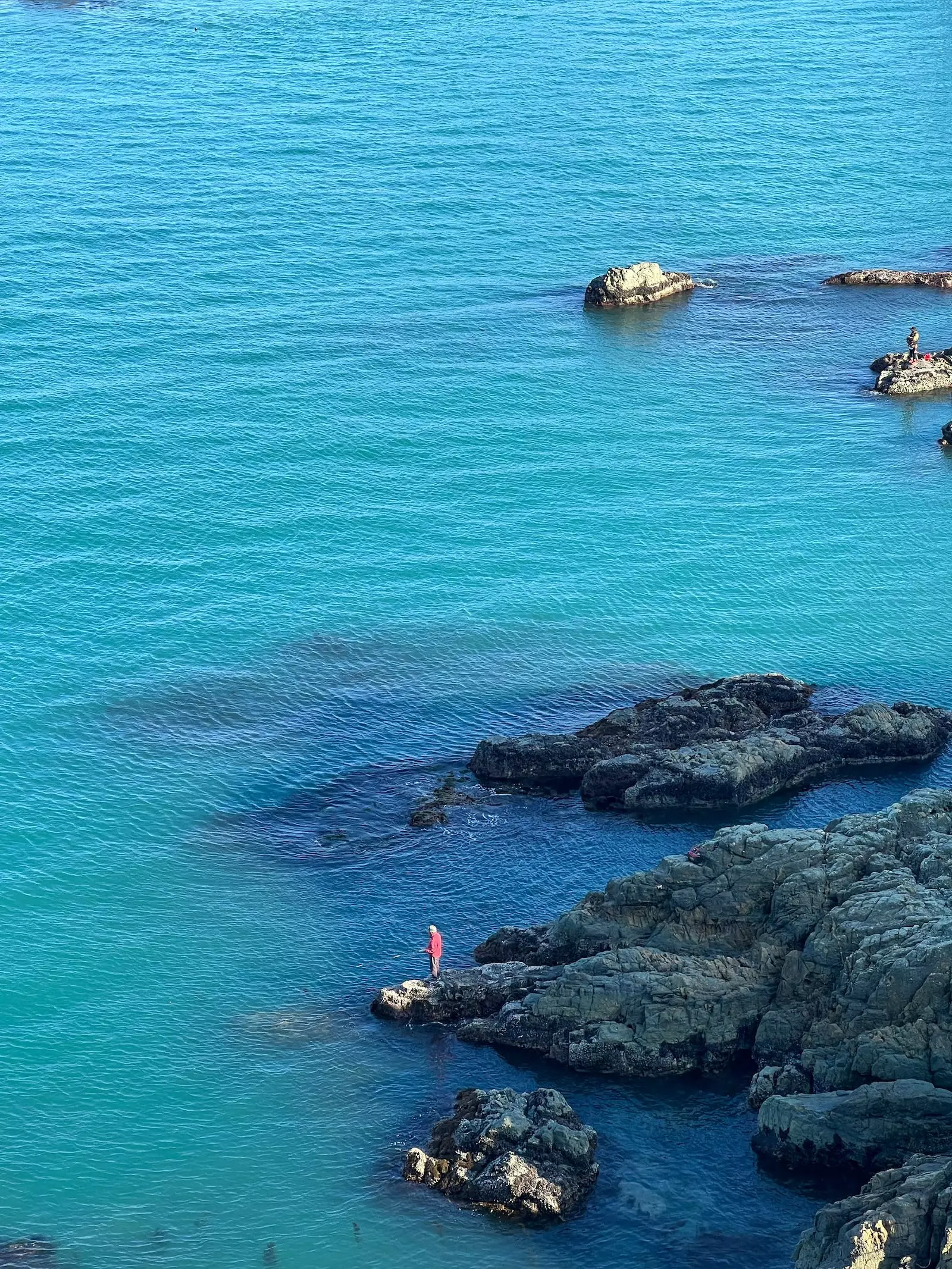 Flies Sales Store -Flies Sales Store pexels photo 12176029