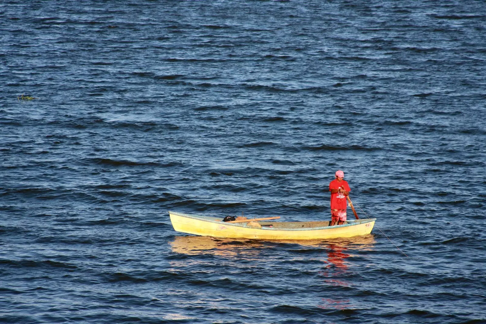 Flies Sales Store -Flies Sales Store pexels photo 13542256