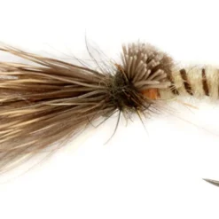 Fulling Mill Procter's Caddis Emerger Cream B/L