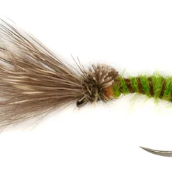 Fulling Mill Procter's Caddis Emerger Green B/L