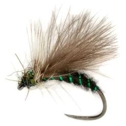 Fulling Mill Procter's CDC APT B/L