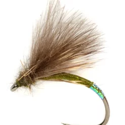 Fulling Mill Procter's Cul D Canon B/L