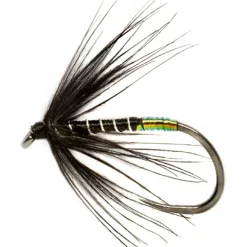 Fulling Mill Procter's Pearly Butt Black Spider B/L