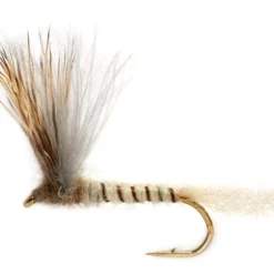 Fulling Mill Procter's Stuck Shuck Compara May