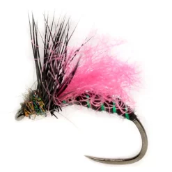 Fulling Mill Procter's Target APT B/L