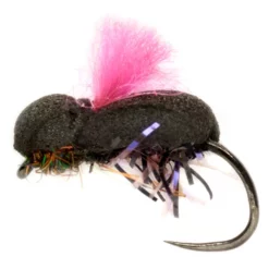 Fulling Mill Procter's Target Beetle Pink B/L