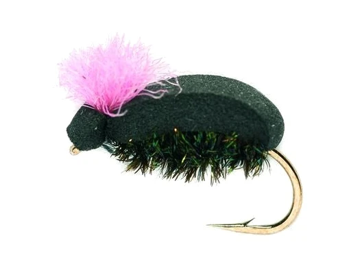 Fulling Mill Procter Target Beetle Pink 3 Fulling Mill Procter Target Beetle Pink