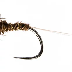 Czech Nymph PT White Back Jig GH