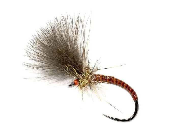 Fulling Mill Quill CdC Emerger Orange 3 Fulling Mill Quill CdC Emerger Orange