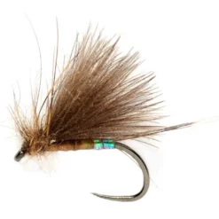 Fulling Mill Roza's Pearl Butt Olive Dun B/L