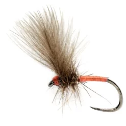 Fulling Mill Roza's Victoria Pink Secret B/L